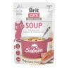 Brit Care Soup with Salmon lõhesupp kassidele 75g