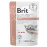 Brit Veterinary Diet Renal märgtoit kassidele 85g