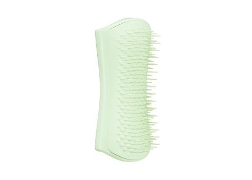 Pet Teezer roheline grooming hari kutsikale