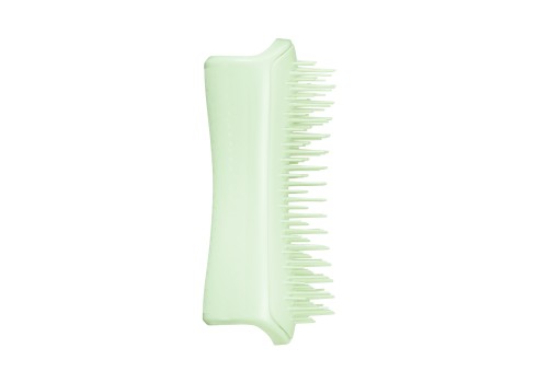 Pet Teezer roheline grooming hari kutsikale