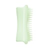 Pet Teezer roheline grooming hari kutsikale