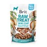 Brit Raw külmkuivatatud maius Skin & Coat koertele 40g