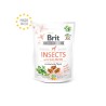 Brit Care Insects with Salmon närimismaius koertele 200g