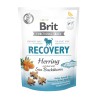 Brit Care Functional Recovery närimismaius koertele 150g