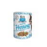 Brit Care Cat Snack SuperFruits Herring kassimaius heeringaga 100g