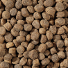 Total Bite Grain Free koeratoit värske lambalihaga 2kg
