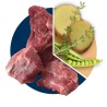 Polaris grainfree puppy large Lamb & Salmon 2,5kg