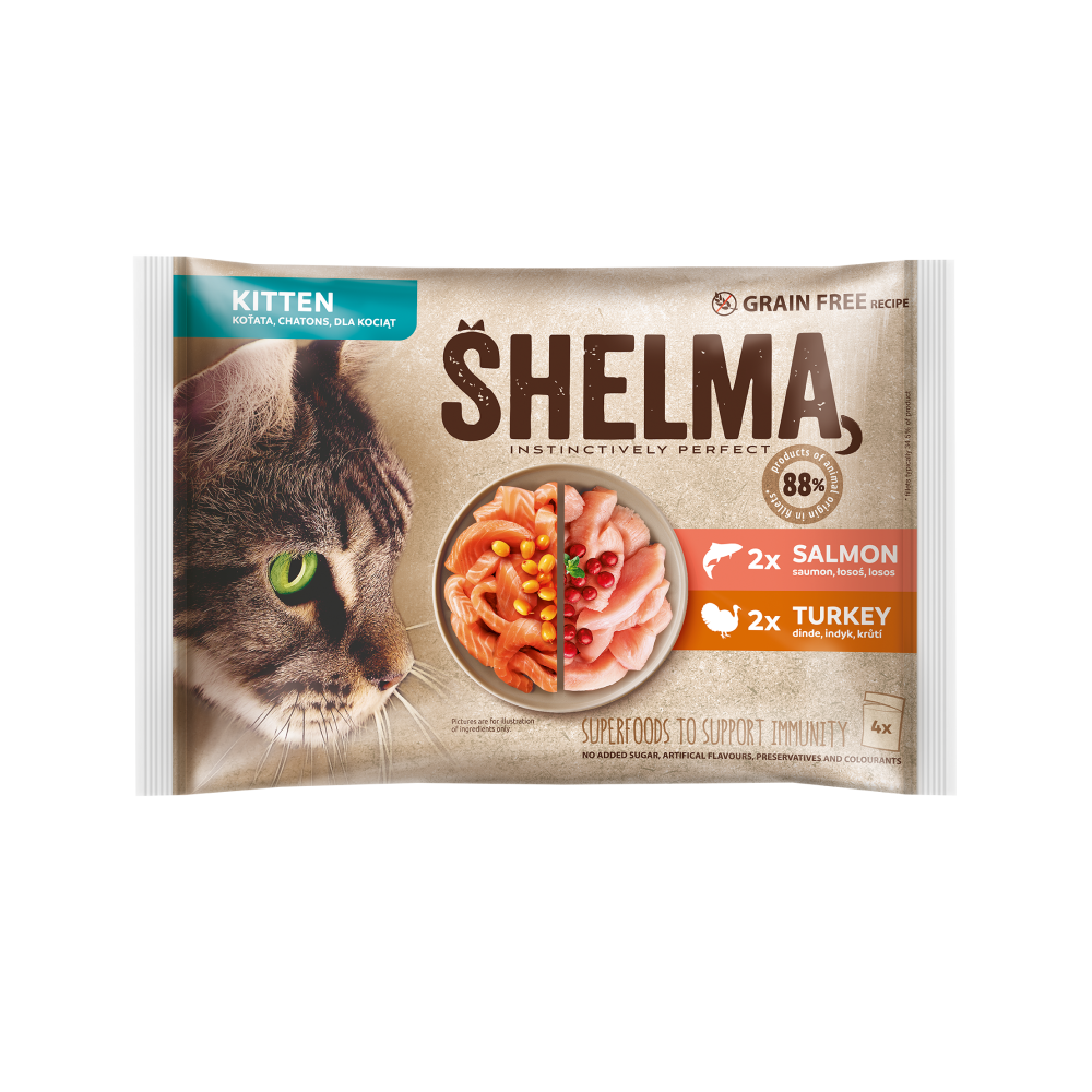Shelma kassieined KITTEN 4x85g lõhefileed ja kalkunifileed kastmes
