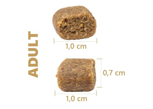 Magnum Ibeeria siga-ookeanikala külmpressitud koeratoit 12kg