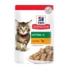 Hill's Science Plan kassipoja einekotike kanalihaga 85g 1TK