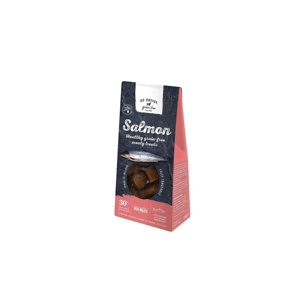 Go Native maius koertele, lõhega, 100g