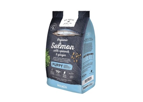 Go Native kuivtoit kutsikatele lõhe, spinati ja ingveriga, 800 g