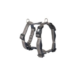 Max&Molly koera traksid Matrix 2.0 L, hall