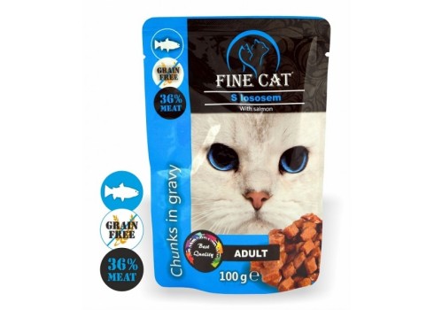 Fine Cat kassieine lõhega 22X100g