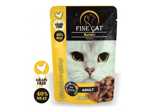 Fine Cat kassieine kanaga 22X100g