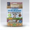 Little Bigpaw koera maius Oven Baked ookeanikalaga 130 g
