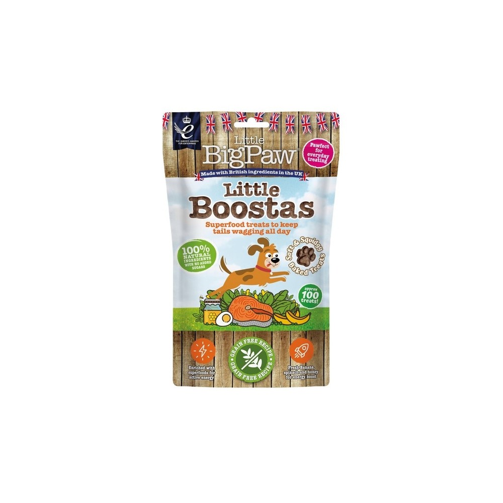 Little Bigpaw koera maius Superfood lõhega 90 g