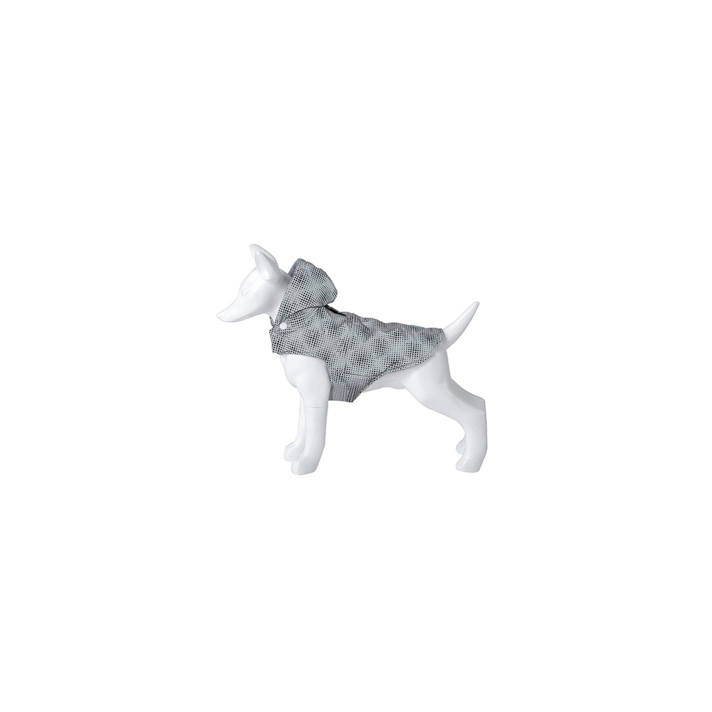 Freedog koera jope Flash, 20 cm, hall