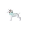 FREEDOG KOERA JOPE DOT 30CM SININE