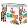 Hill´s einekotikeste Multipack Perfect Weight kassikonserv 12x85g