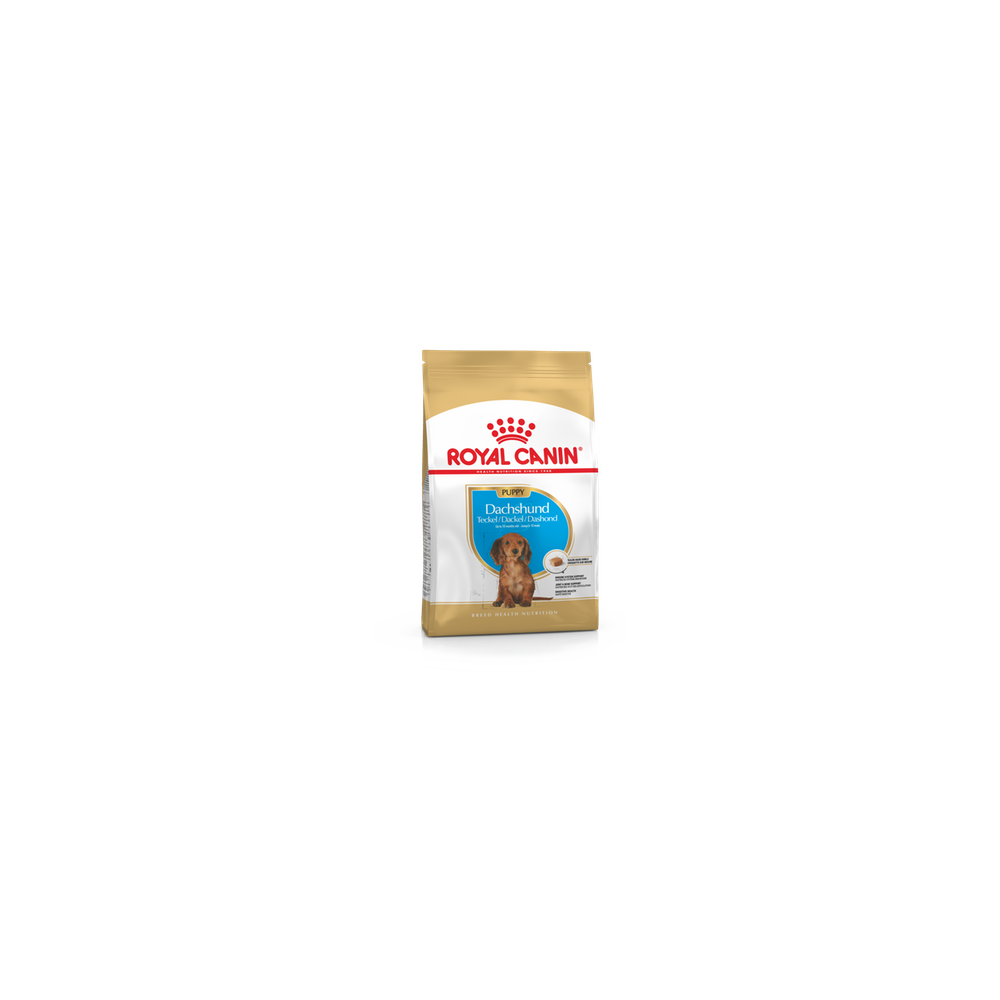 Royal Canin Dachshund 30 puppy 1,5kg  koeratoit
