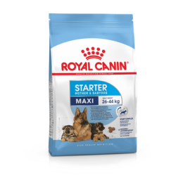 Royal Canin Maxi Starter Mother & Babydog 15 kg koeratoit