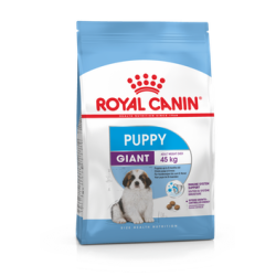 Royal Canin Giant Puppy 15 kg koeratoit