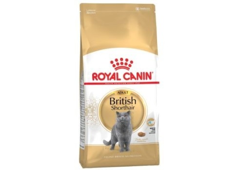 Royal Canin British Shorthair 34 10kg kassitoit