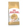 Royal Canin Sphynx 2x2kg kassitoit