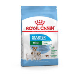 ROYAL CANIN MINI STARTER MOTHER&BABYDOG koeratoit 8kg
