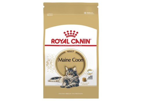 Royal Canin Maine Coon 31 10kg kassitoit