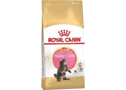 ROYAL CANIN FHN Maine Coon Kitten kassitoit 2kg