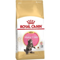 ROYAL CANIN FHN Maine Coon Kitten kassitoit 2kg