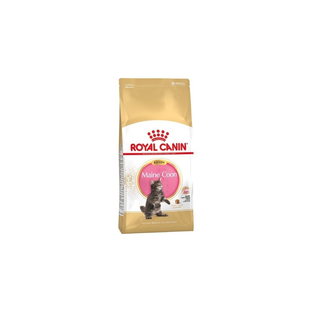 ROYAL CANIN FHN Maine Coon Kitten kassitoit 2kg