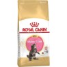 ROYAL CANIN FHN Maine Coon Kitten kassitoit 2kg