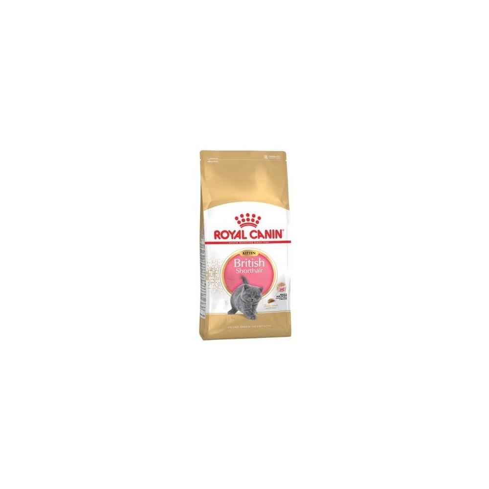 Royal Canin Kitten British Shorthair kassitoit 2kg