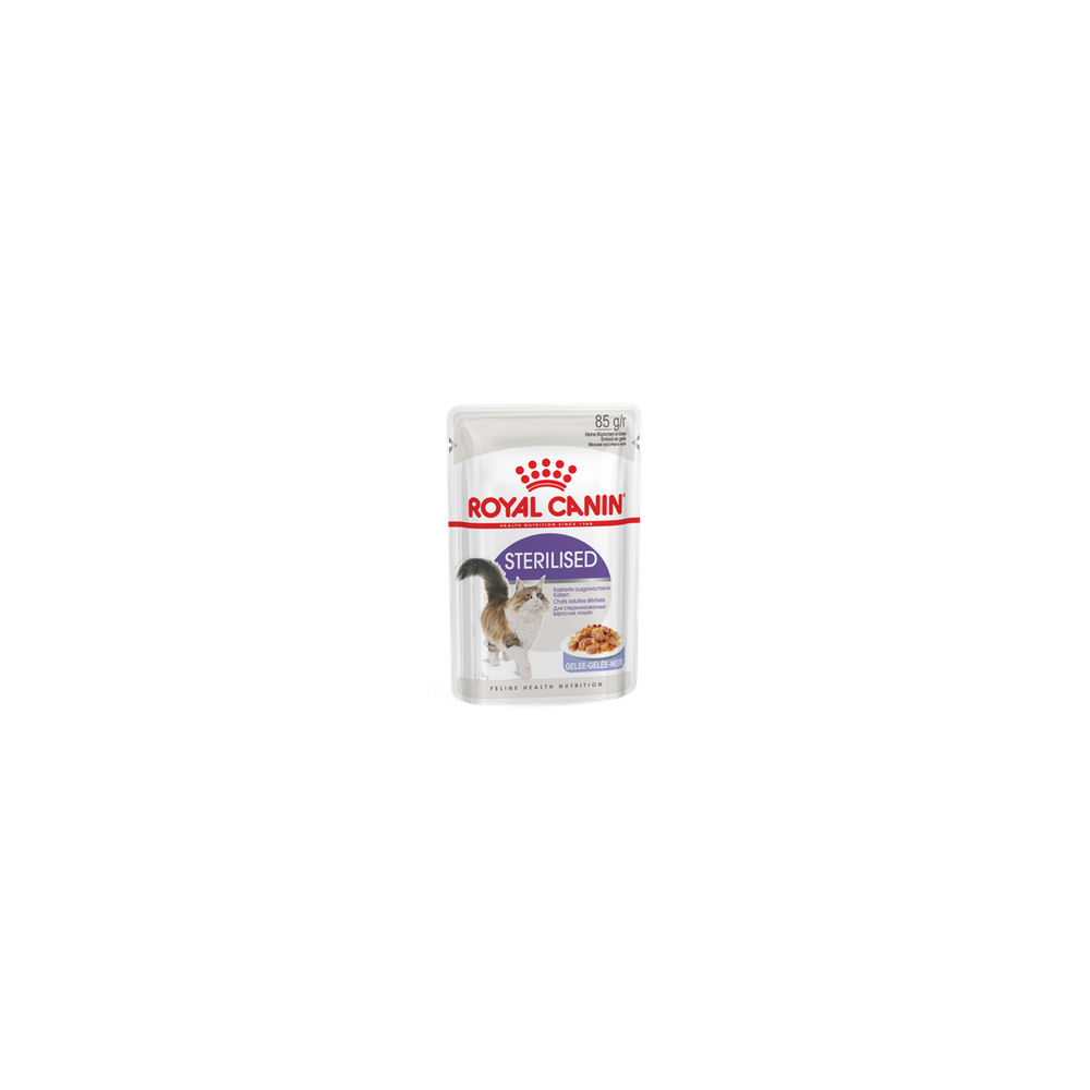 Royal Canin FHN STERILISED in Jelly 12x85G kassitoit