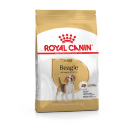 ROYAL CANIN BEAGLE ADULT koeratoit 2x3kg