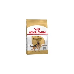 Royal Canin German Shepherd Adult 2x3kg koeratoit