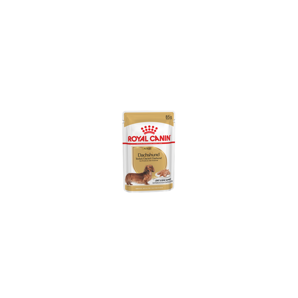 Royal Canin koeratoit DACHSHUND WET 12x85g