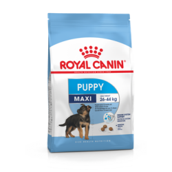 Royal Canin Maxi Puppy 4kg koeratoit