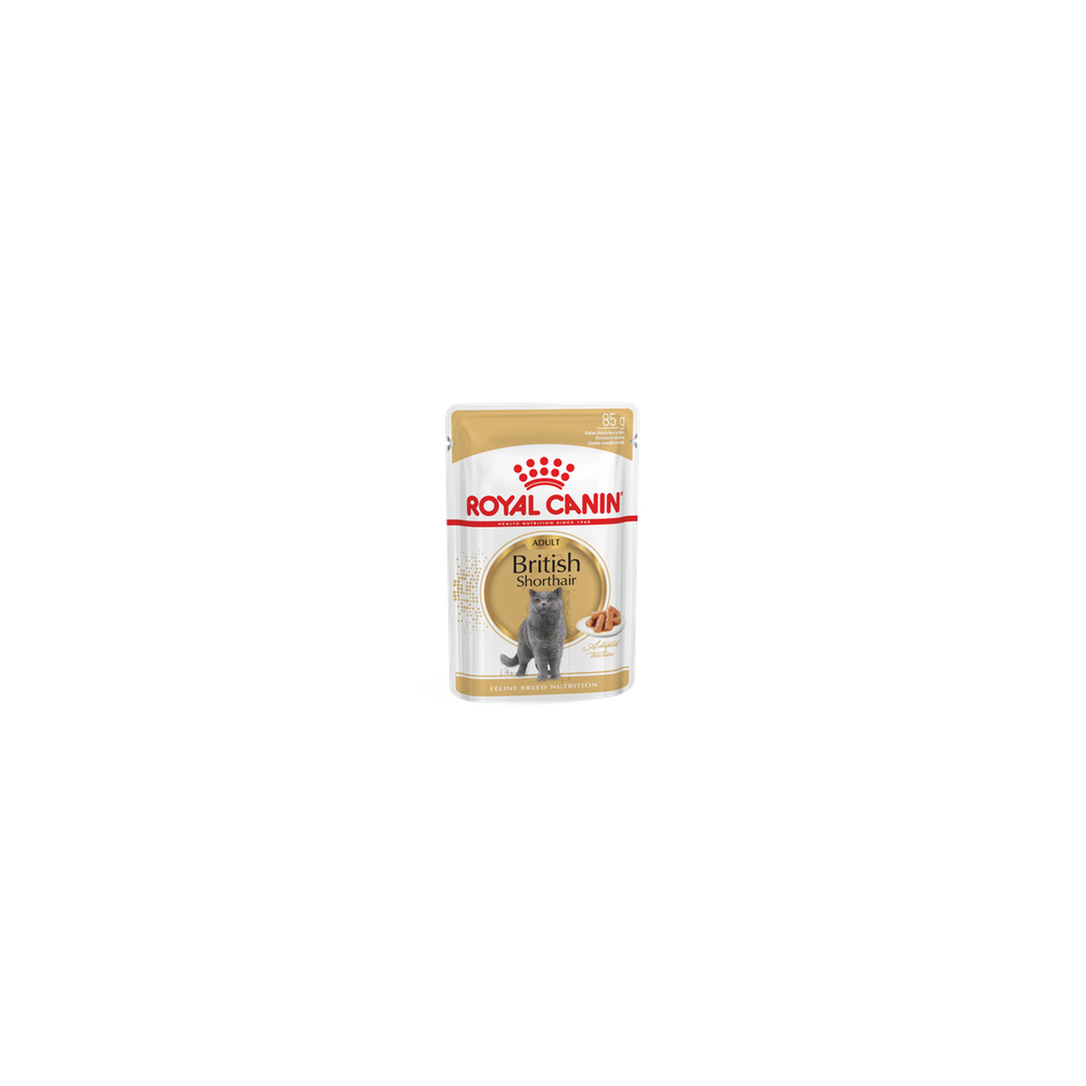 Royal Canin FBN BRITISH SHORTHAIR WET kassitoit 12x85g