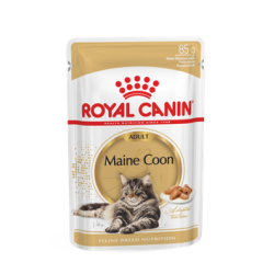 Royal Canin FBN MAINE COON WET kassitoit 12x85g