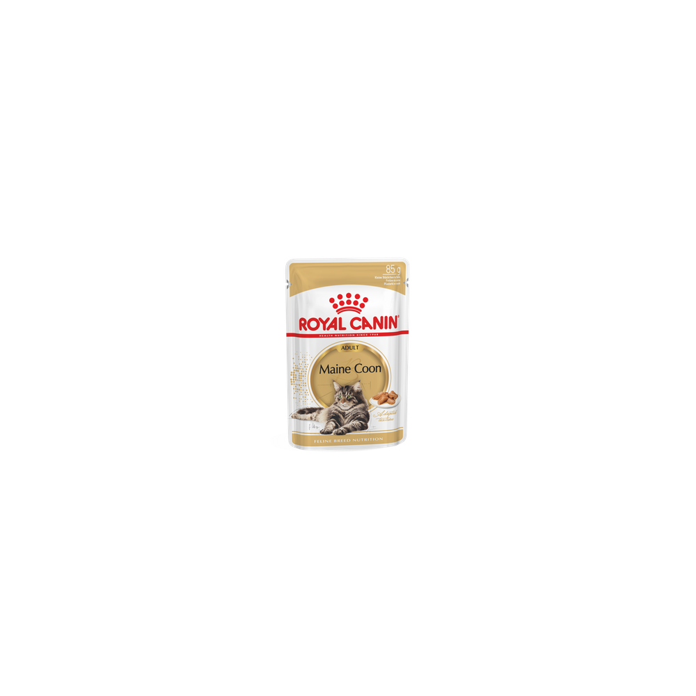 Royal Canin FBN MAINE COON WET kassitoit 12x85g