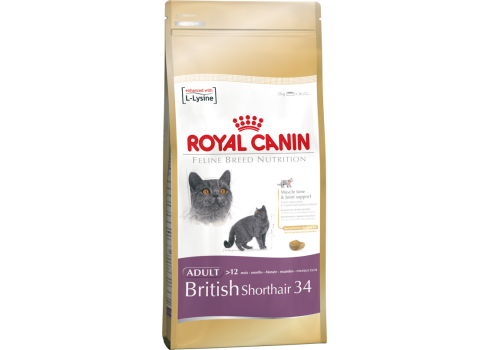 Royal Canin British Shorthair 2kg kassitoit