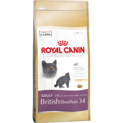 Royal Canin British Shorthair 2kg kassitoit