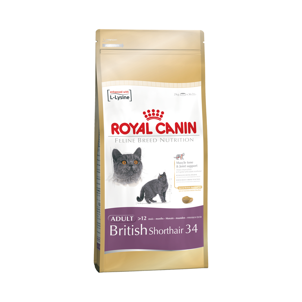 Royal Canin British Shorthair 2kg kassitoit