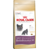 Royal Canin British Shorthair 2kg kassitoit