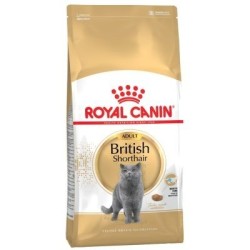Royal Canin British Shorthair 2kg kassitoit