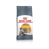 Royal Canin Hair & Skin 33 2kg kassitoit